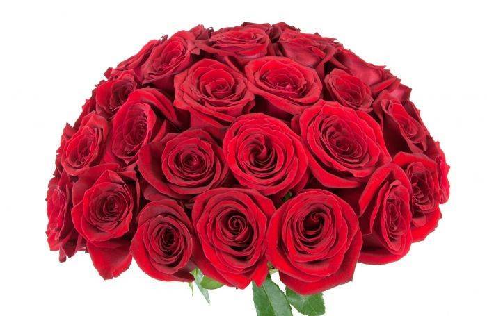 Заказать Букет Цветов С Доставкой В Хабаровске