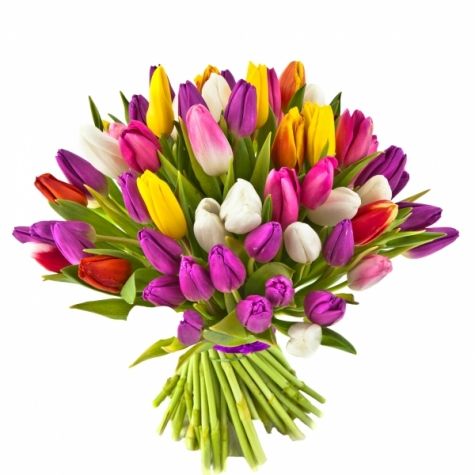 Большой букет из разноцветных тюльпанов