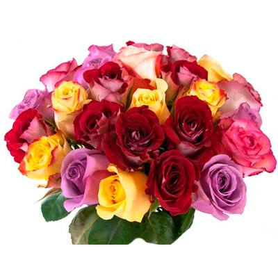Роза разноцветная 40 см